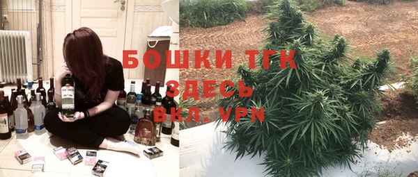 мдпв Каменногорск