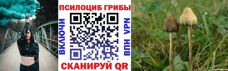 Купить где  Нерчинск  Галлюциногенные грибы мухоморы 